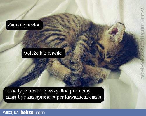 Witaj w kocim świecie