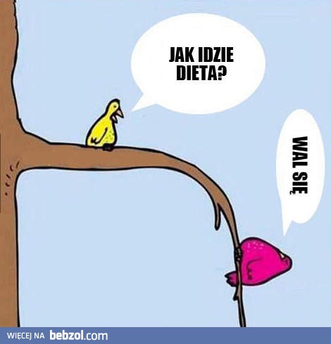 Jak idzie dieta?