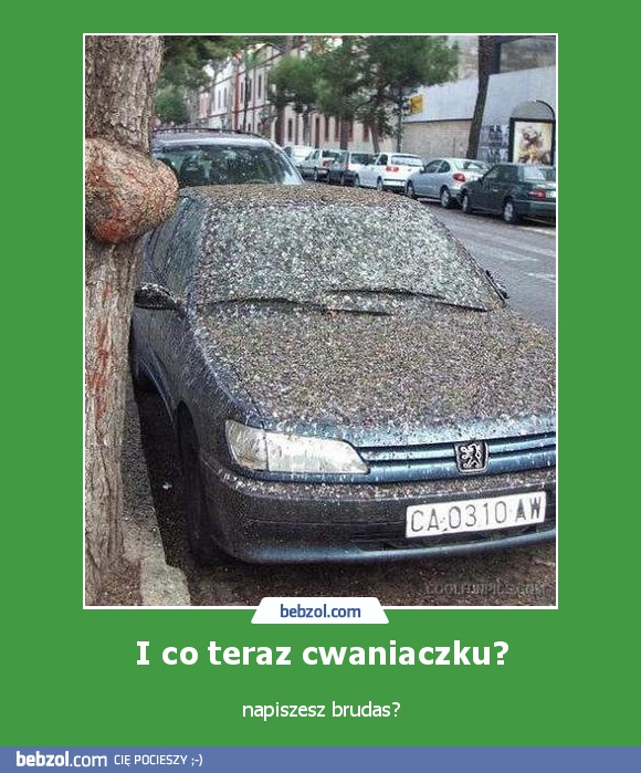 I co teraz cwaniaczku?