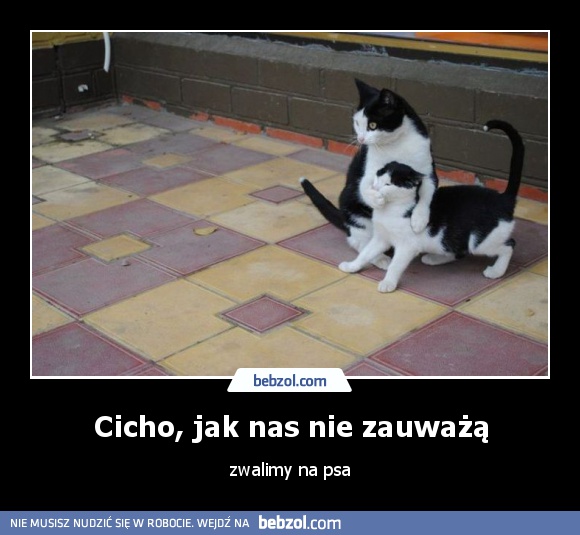 Cicho, jak nas nie zauważą