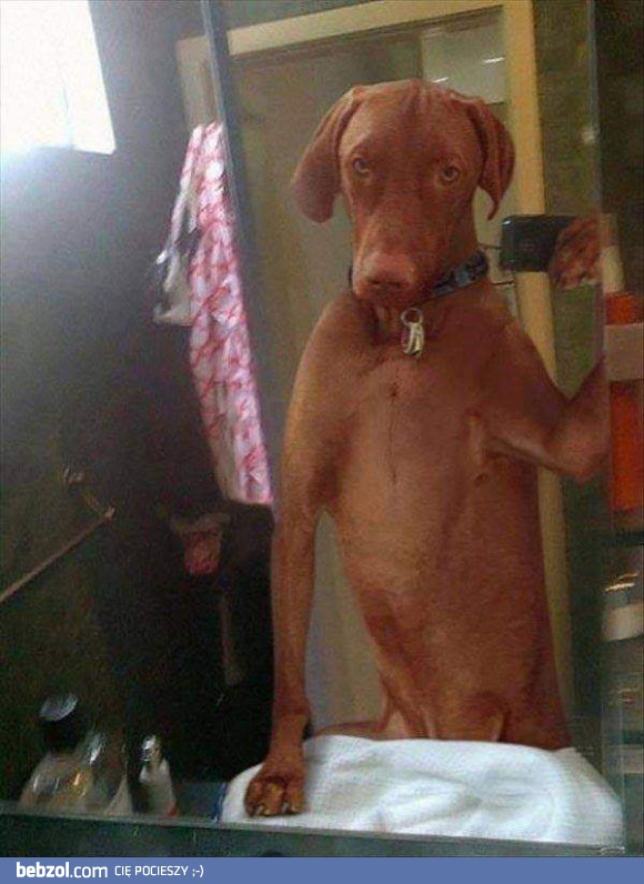 Kiedy pana nie ma w domu