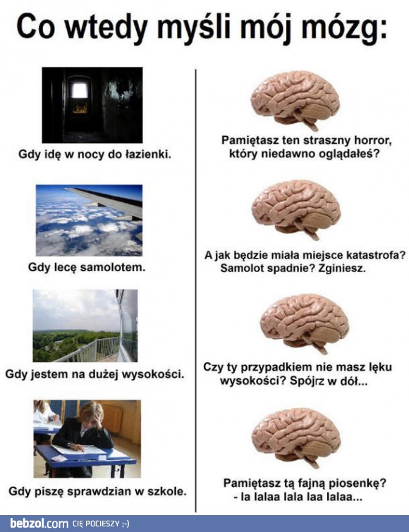 Mózgu, dlaczego mi to robisz?!