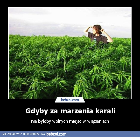 Gdyby za marzenia karali