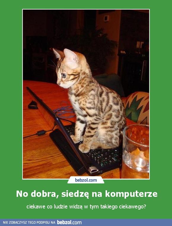 No dobra, siedzę na komputerze