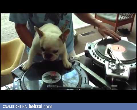 DJ Crazy Dog już gra !