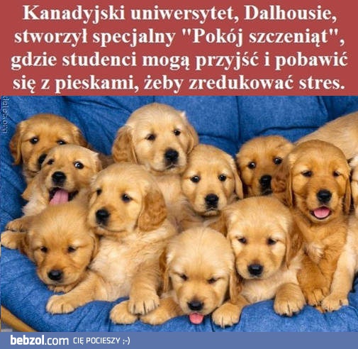 Najlepszy sposób na stres