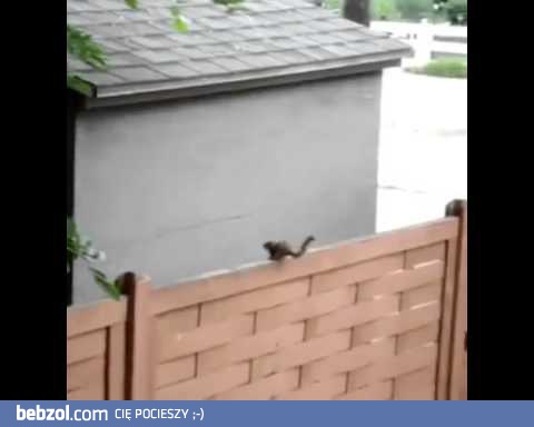 I believe I can fly!