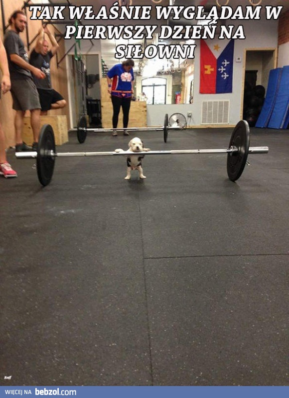 Pierwszy dzień na siłowni