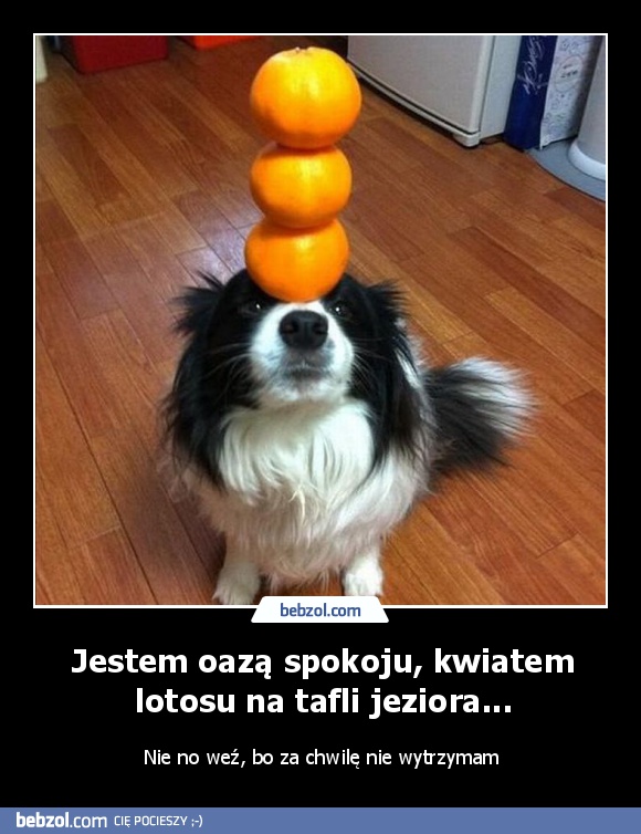 Jestem oazą spokoju, kwiatem lotosu na tafli jeziora...