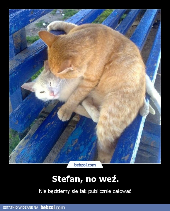 Stefan, no weź.