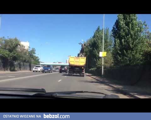 Transport pomnika jelenia