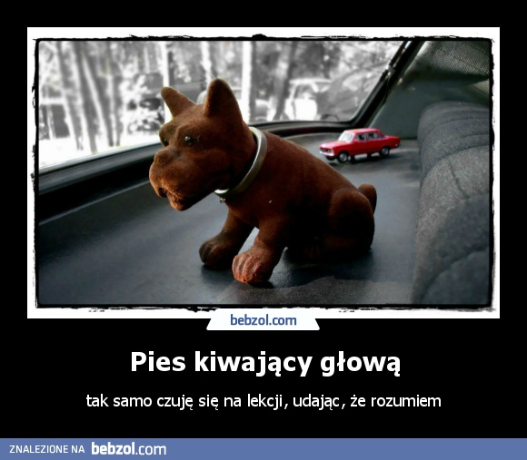 Pies kiwający głową