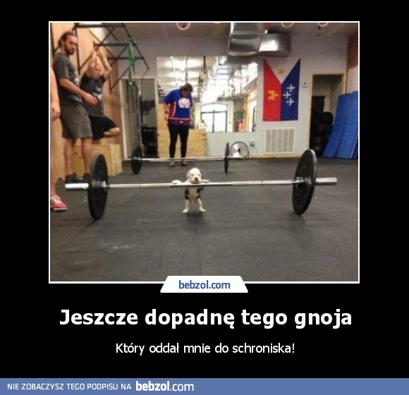 Jeszcze dopadnę tego gnoja