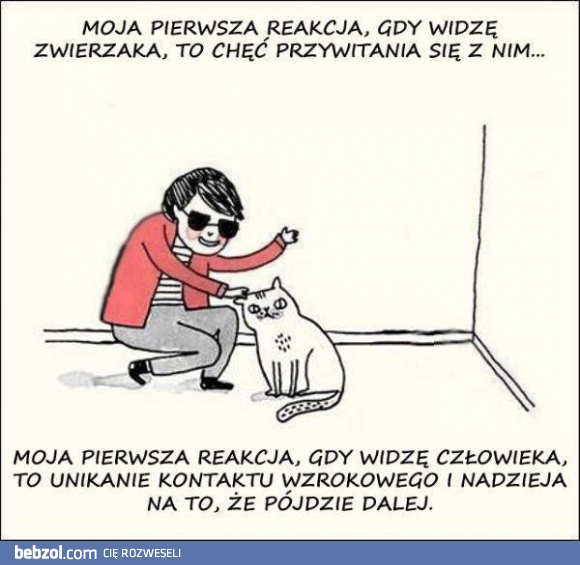 Reakcja na spotkanie ze zwierzakiem