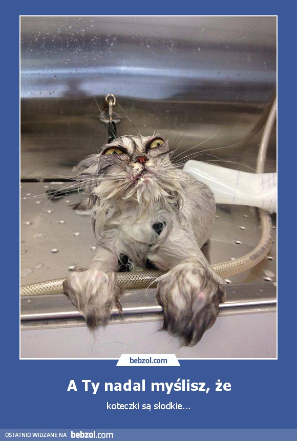 A Ty nadal myślisz, że