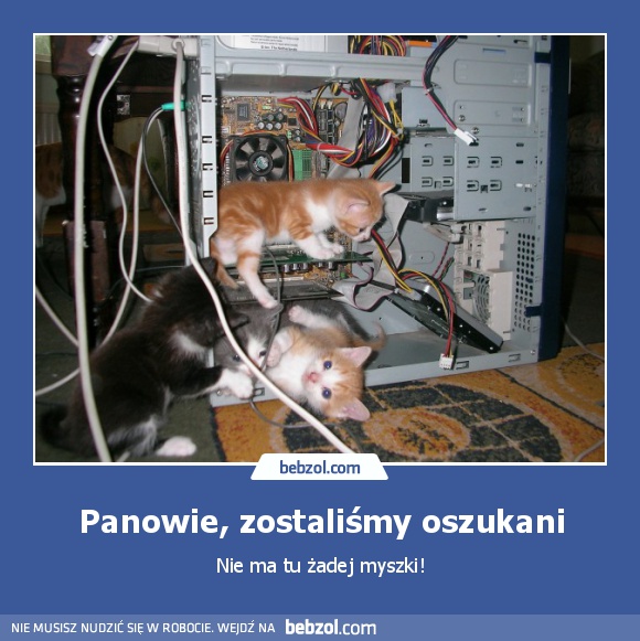 Panowie, zostaliśmy oszukani