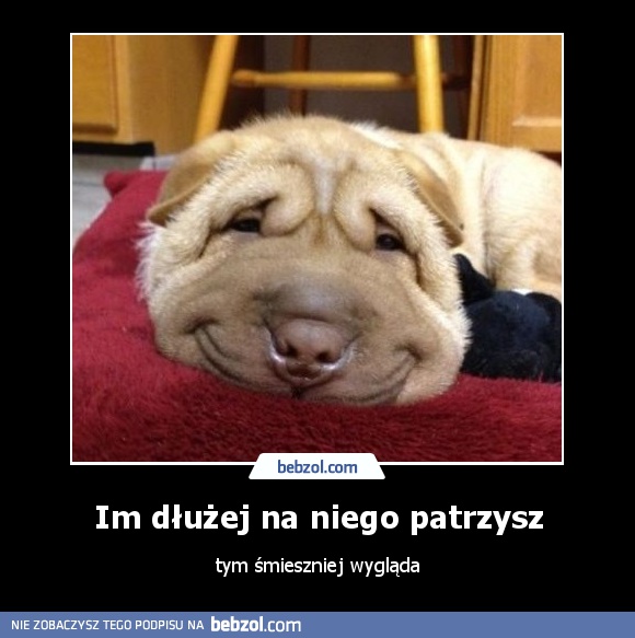 Im dłużej na niego patrzysz