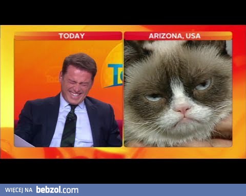 Wpadki na wizji - sierpień 2013