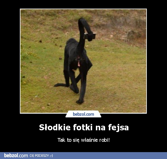 Słodkie fotki na fejsa