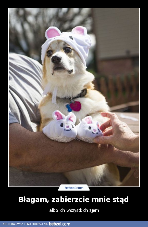 Błagam, zabierzcie mnie stąd 