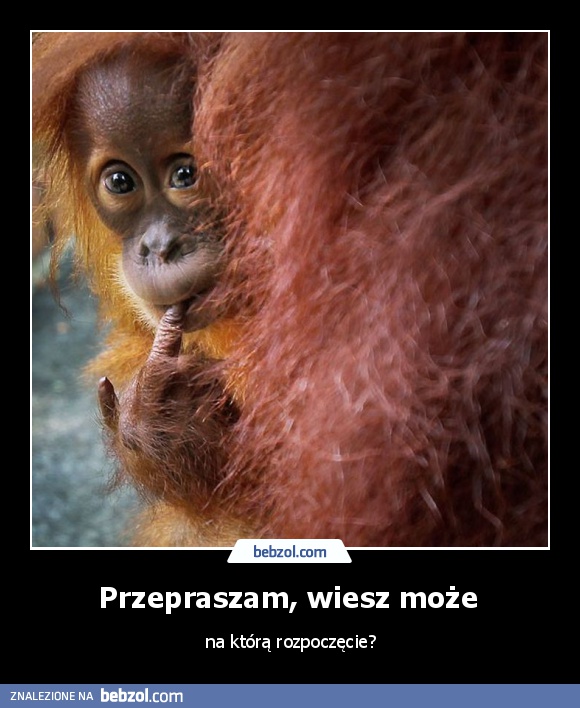 Przepraszam, wiesz może 