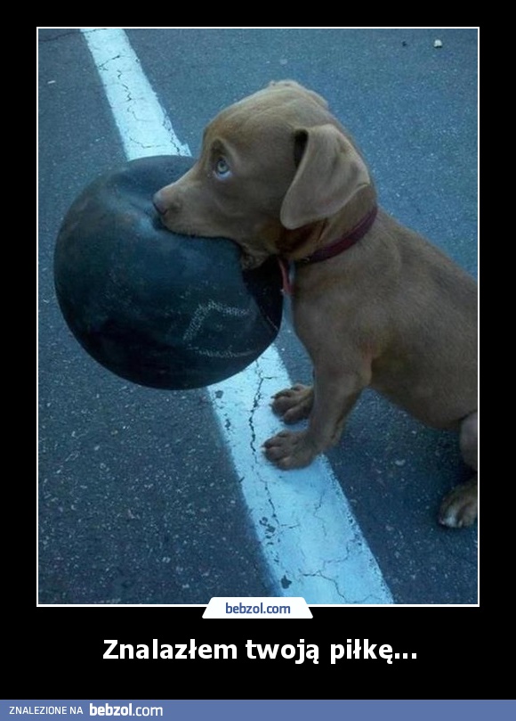Znalazłem twoją piłkę...