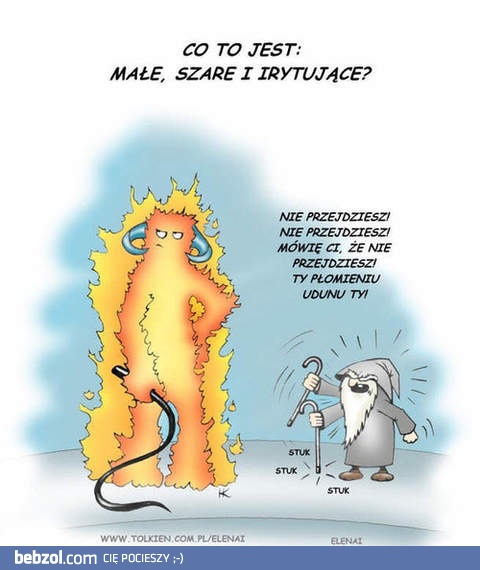 Małe, szare i irytujące