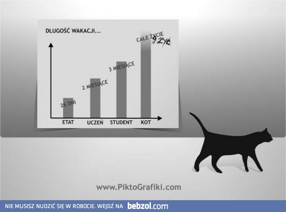 Koty to mają dobrze!