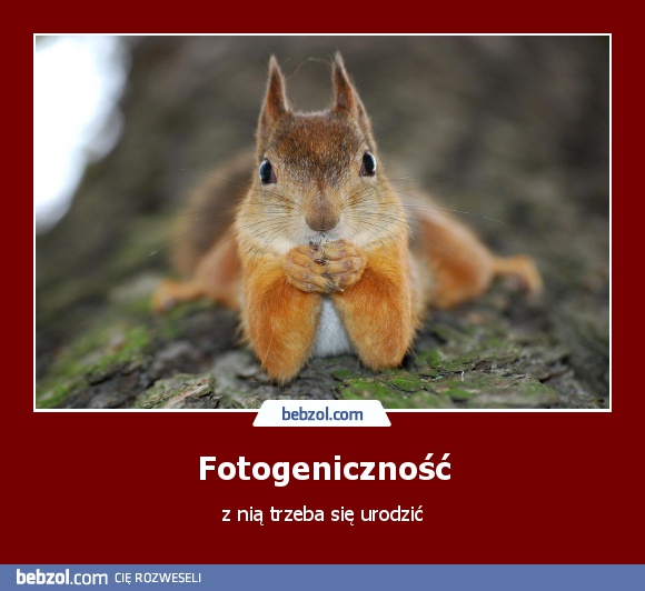 Fotogeniczność