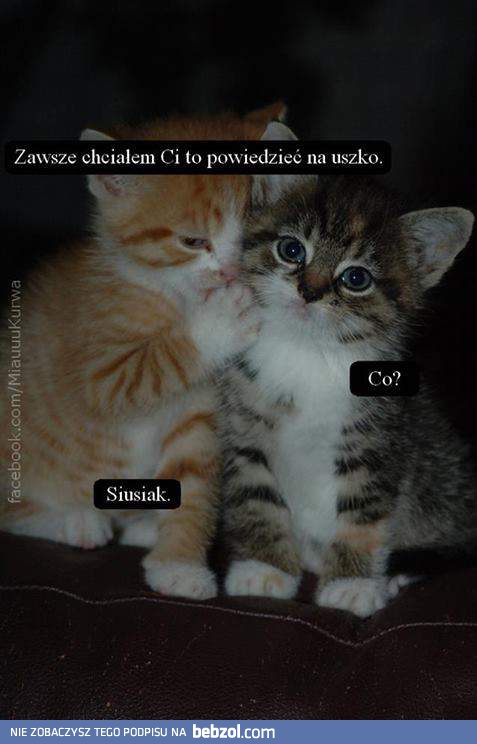 Zawsze chciałem ci to powiedzieć