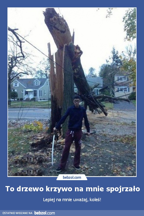 To drzewo krzywo na mnie spojrzało