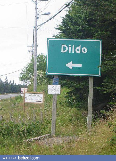 Dildo