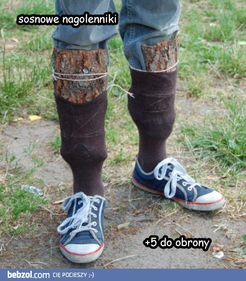 Sosnowe nagolenniki