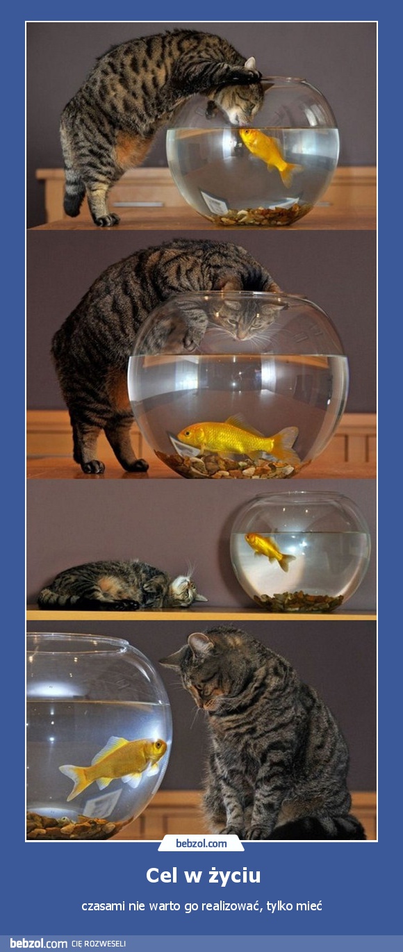 Cel w życiu