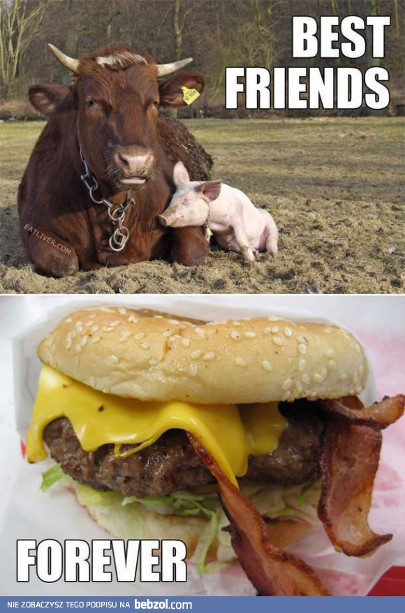 Przyjaciele na zawsze!