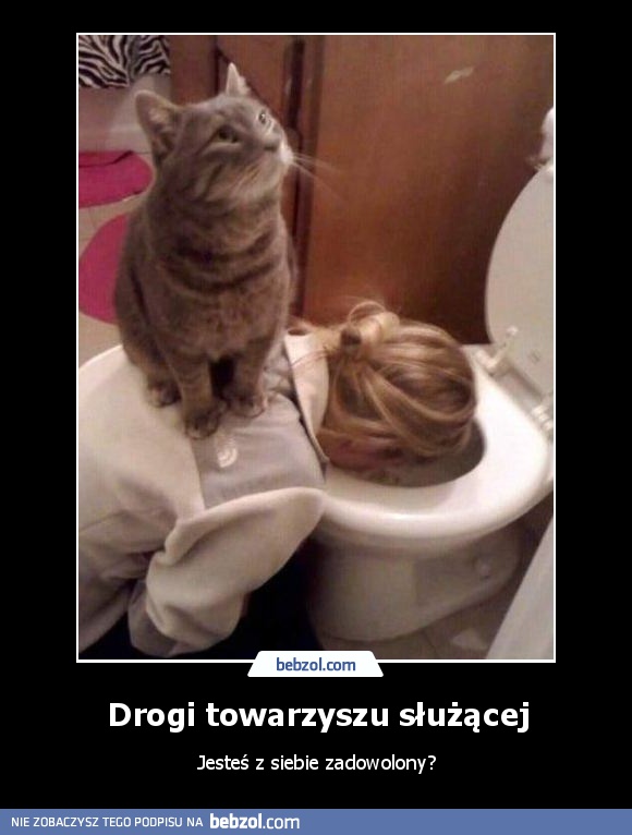 Drogi towarzyszu służącej