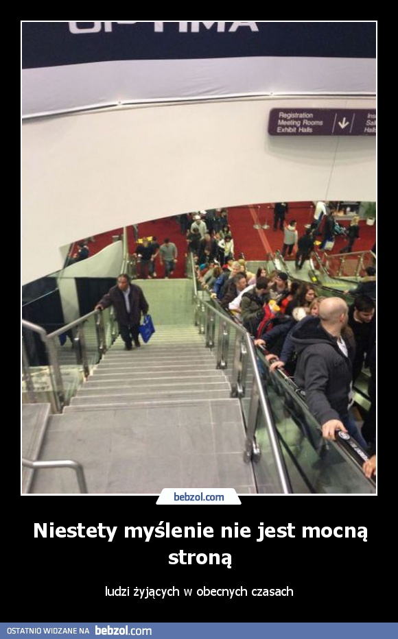 Niestety myślenie nie jest mocną stroną