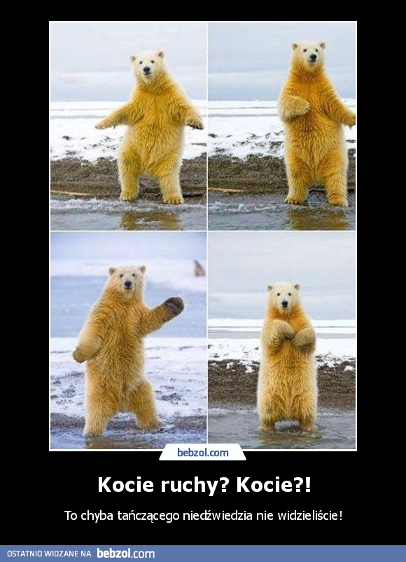 Kocie ruchy? Kocie?!