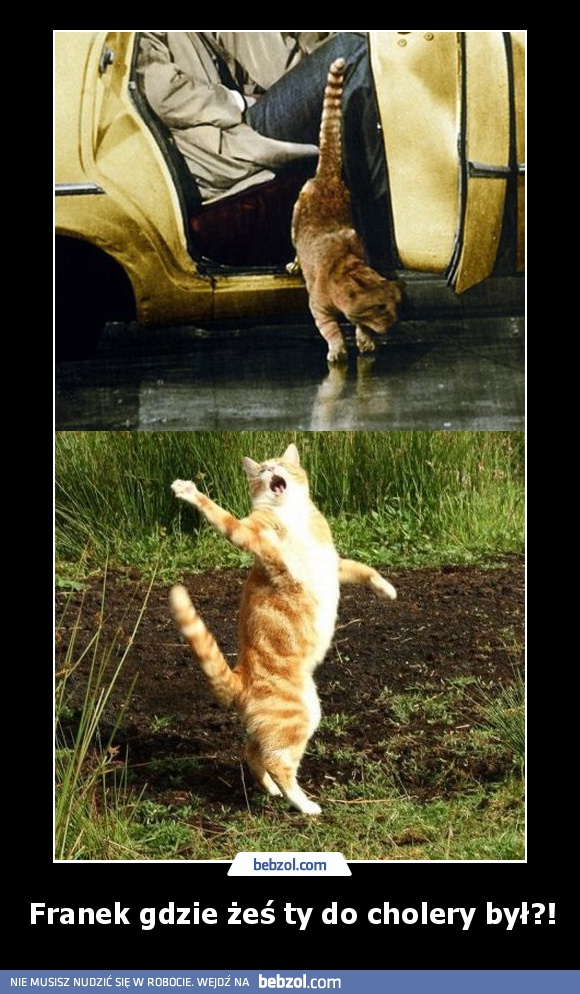 Franek gdzie żeś ty do cholery był?!