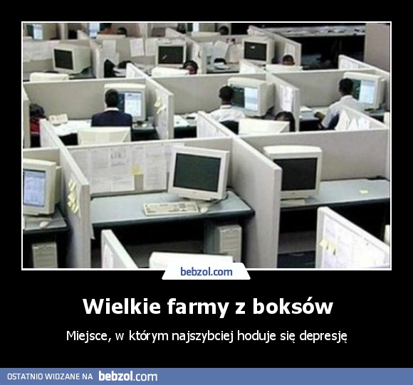 Wielkie farmy z boksów