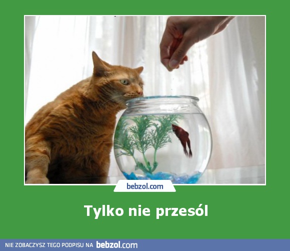 Tylko nie przesól
