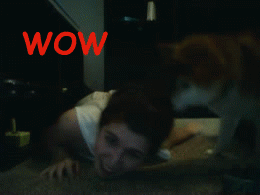 Wow, ale mięciutkie włoski!