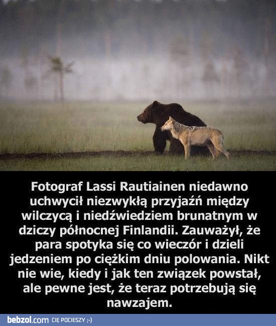 Niezwykła przyjaźń