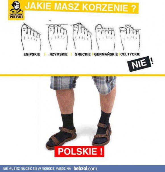 Polskie korzenie