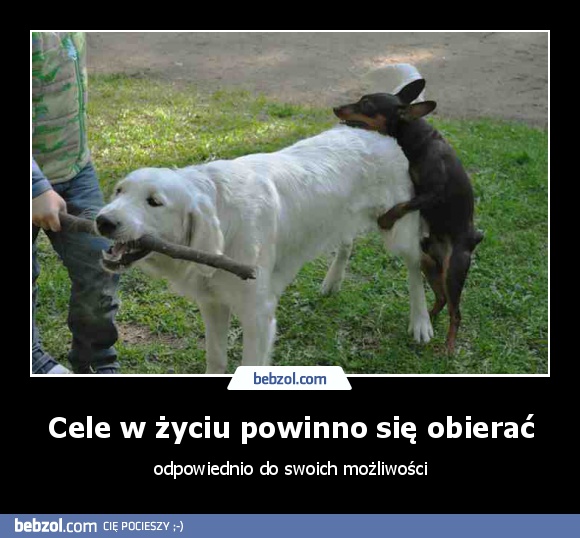 Cele w życiu powinno się obierać