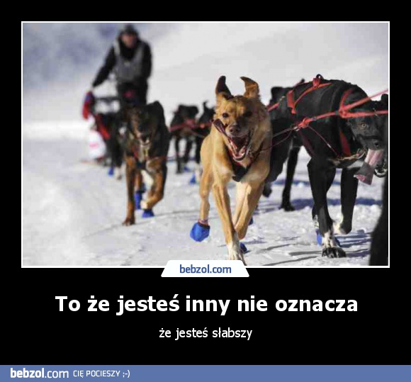 To że jesteś inny nie oznacza