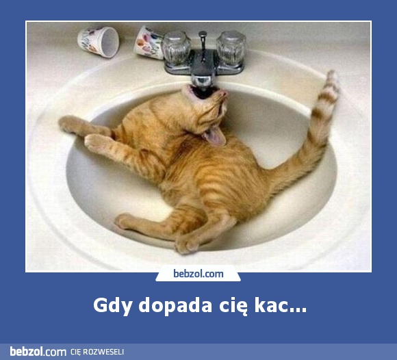 Gdy dopada cię kac...