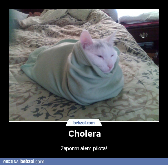 Cholera