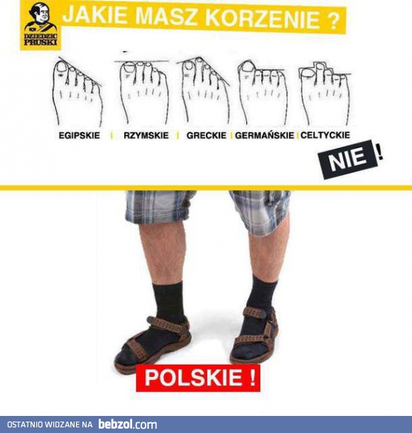 Prawdziwy Polak