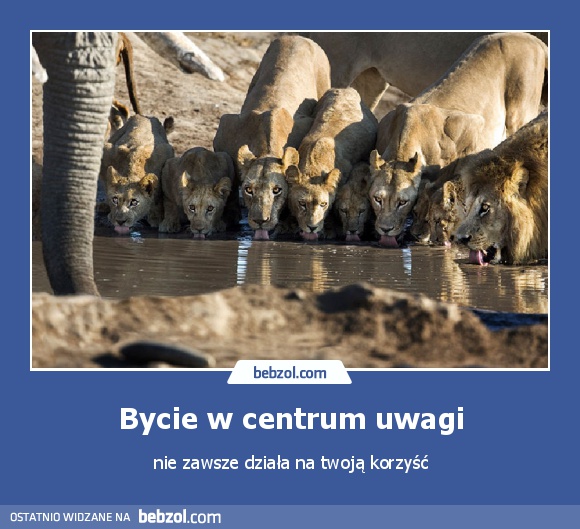 Bycie w centrum uwagi